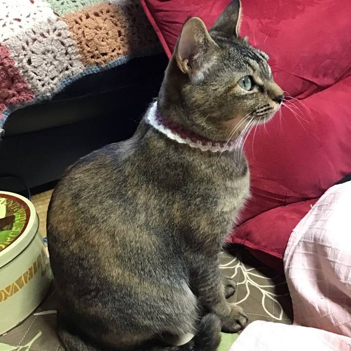 C2016eb4 2507 4603 a33b 85eb623be0d5 1650616412659