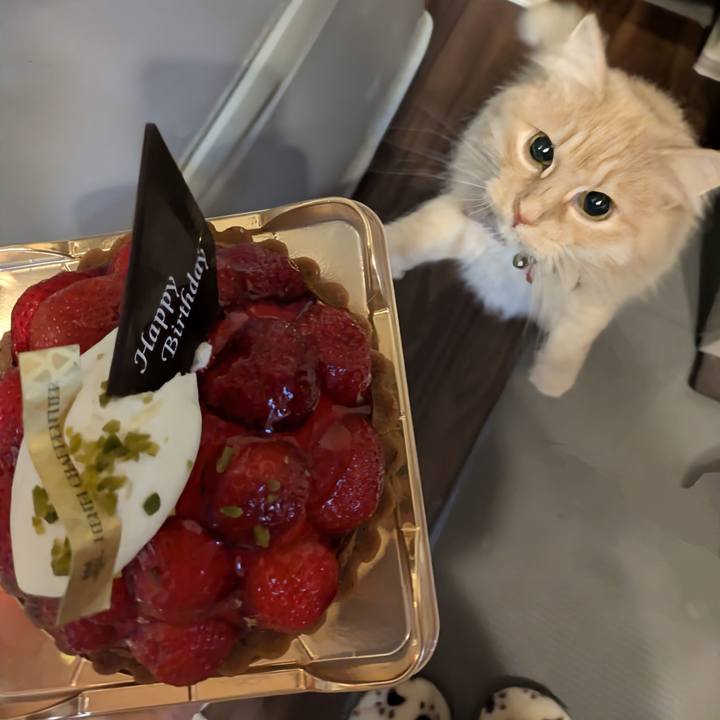 C2019004 d0a3 40b7 a671 05c1a48b3e0f 1771243275828