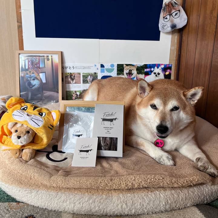 C20192a6 542a 4d3c 8bf5 24cfa705fdcd 1668397774418