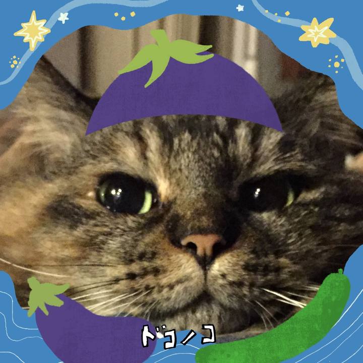 C2020910 7f6b 4fe6 87b0 3d2c77cac3ed 1755055291672