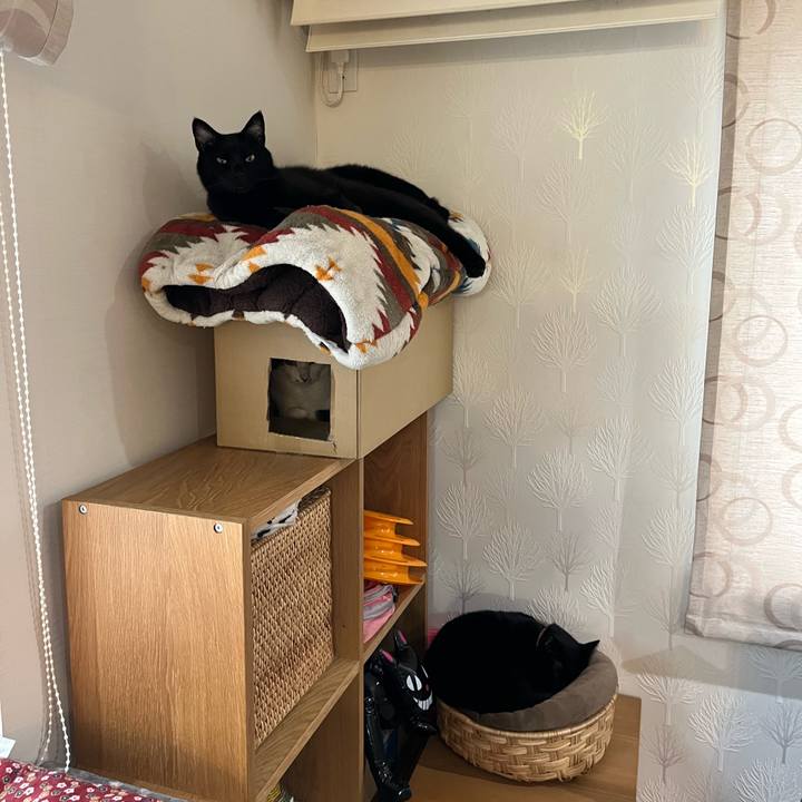 C2022cf8 7637 4acc bf83 5c499ec1bac8 1679110149077