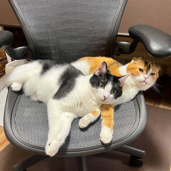 C2023a70 ab7f 410b 9ca6 6ca08bd1bf3d 1693908472328