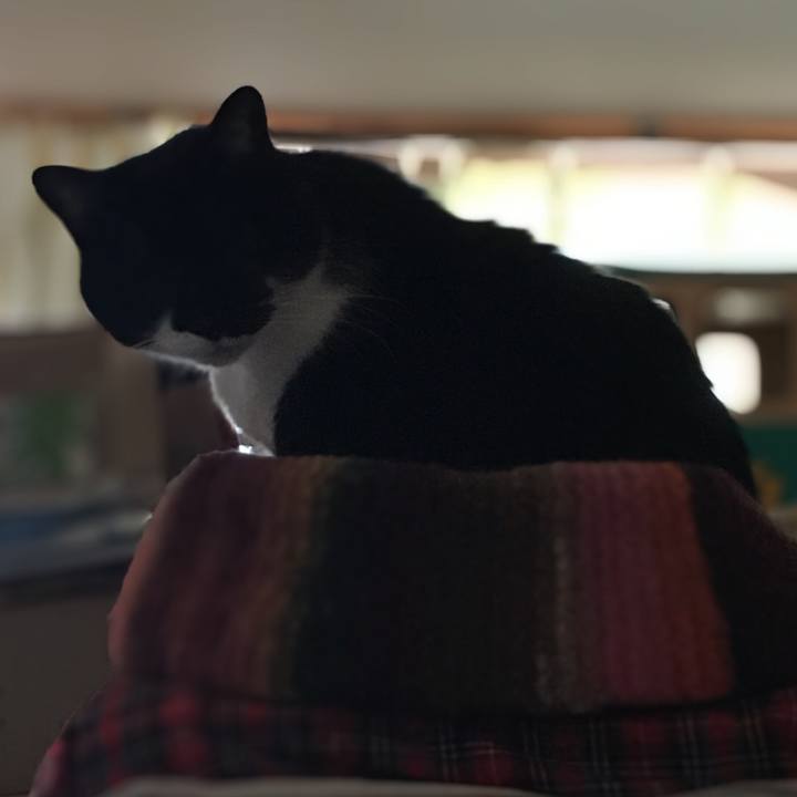 C20278f4 b475 4aaf 9a2a 5f29a1bc22ca 1587954538943