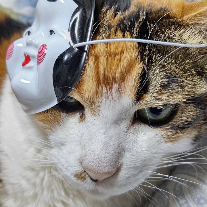 C202a9c1 308d 43d1 b961 e1f485e000bc 1643878772749