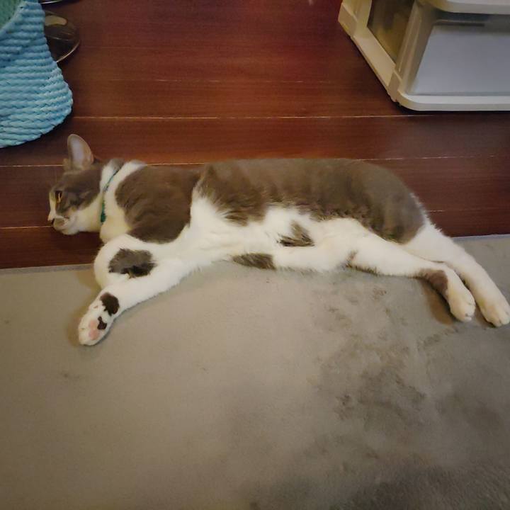 C202b9a6 f6ab 4c77 a962 e20327f3b2dd 1664104632013