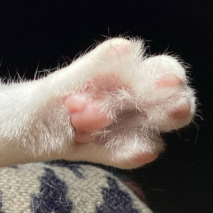 C202ced6 60bf 4a00 96a1 28f58b574569 1655514958905