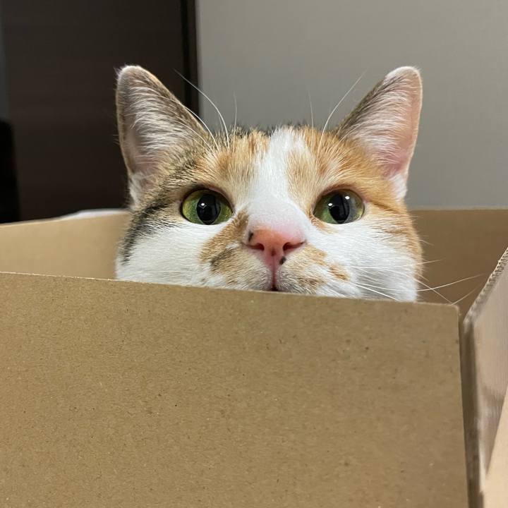 C202de27 fbd8 4c76 9473 028b80327e13 1646091101636