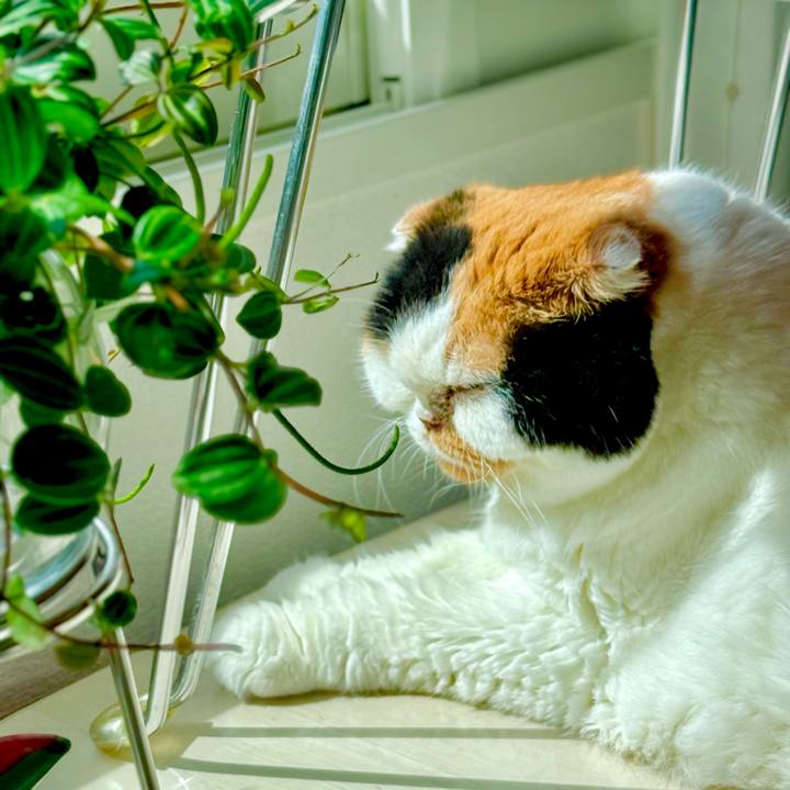 C202fbe3 13c0 4c77 8e71 529e213e63d1 1756689574877