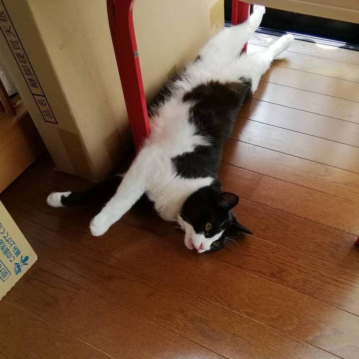 C2031a00 3f27 40be 8539 e81243d245bb 1564042725697