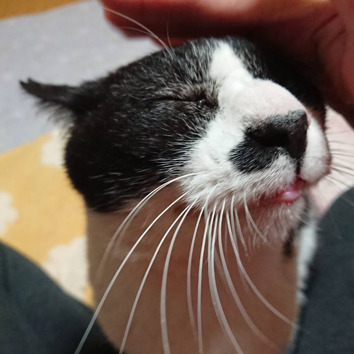 C20324bb c7ca 4f1d 9249 15f170e57a41 1674207469461