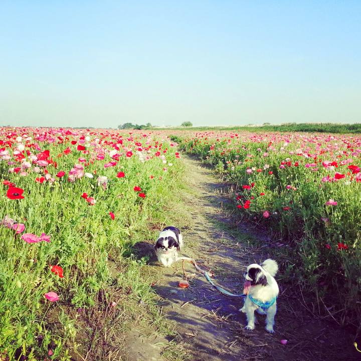 C2032df3 554e 4da8 8b3f 759df24172ca 1660637834638