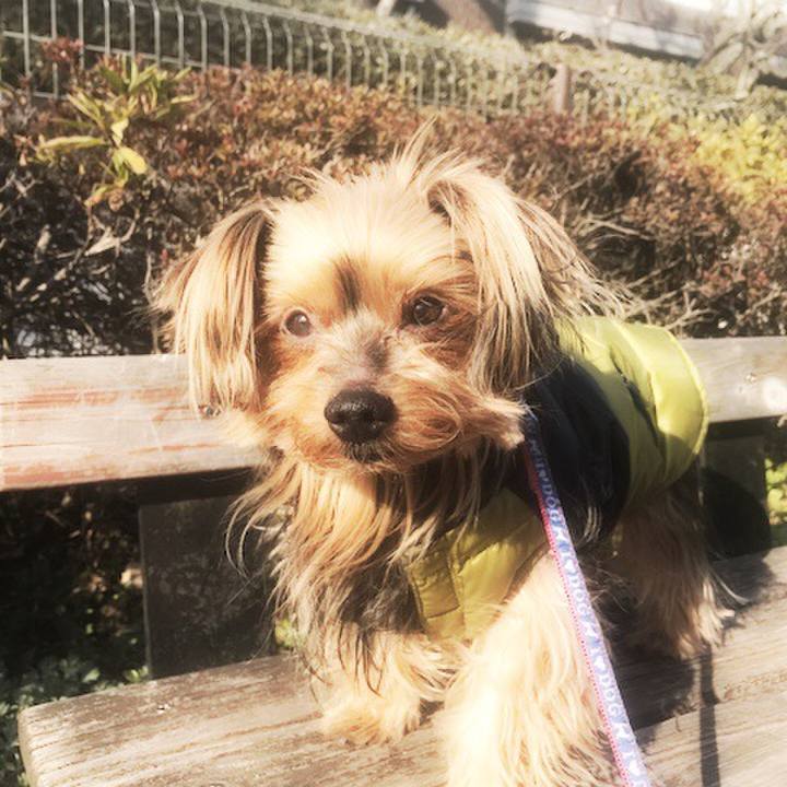 C2032fae 3f09 4080 9642 97bdaf799475 1519019759109