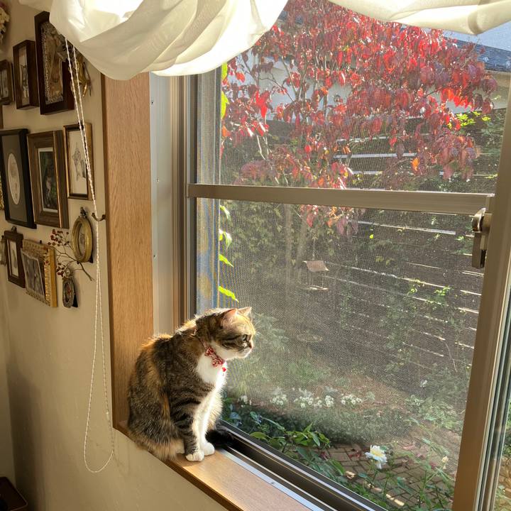 C203401a 7af3 415b 8929 12072ca7aec0 1764131502545