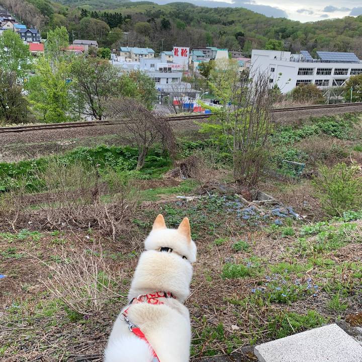 C203427a d7c5 41e4 b769 cc4d2eda92bd 1557530211325