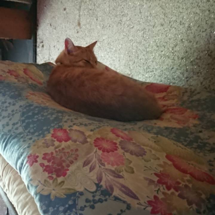 C2035bc2 0dd8 4951 aef0 74b254189eed 1593726867916