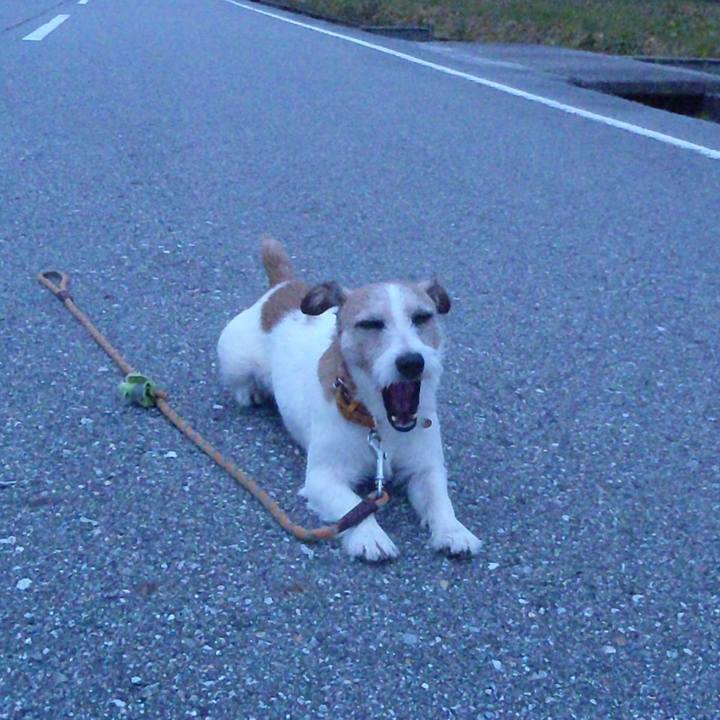 C20364ea efbd 432e 844f 60c13fa00a0f 1538473788971