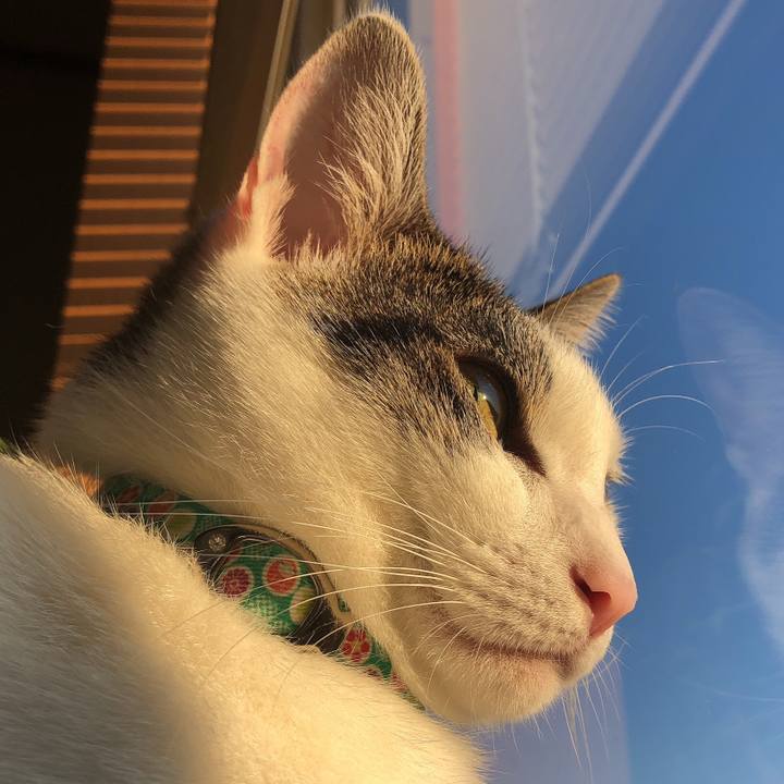 C2036f92 df03 4ee6 b251 3cd7bc25f92e 1600465606409