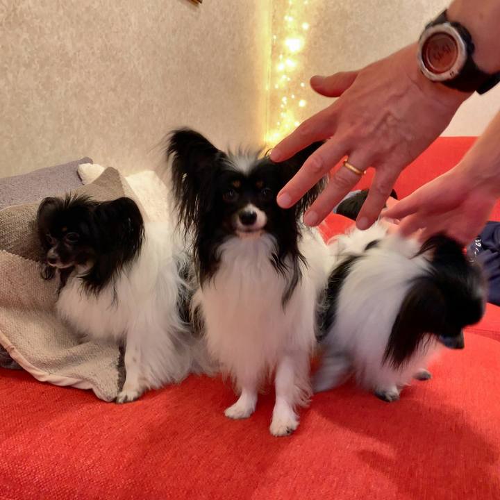 C2039e4c 075c 485b b859 c760de6baaae 1563098309560