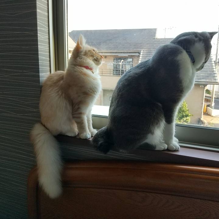 C20401c6 5e86 4d73 8bc0 ae2e3d988f40 1617926381660