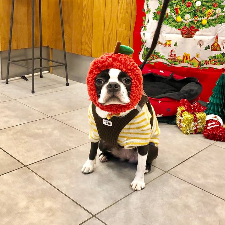 C20416c0 d37b 4dc5 a25e b92be641d3f8 1545718318767