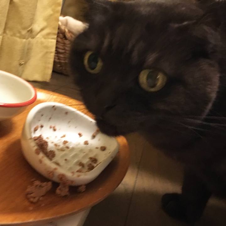 C2044a7e 73b3 4a17 9cf4 38fead0734cf 1526317854831