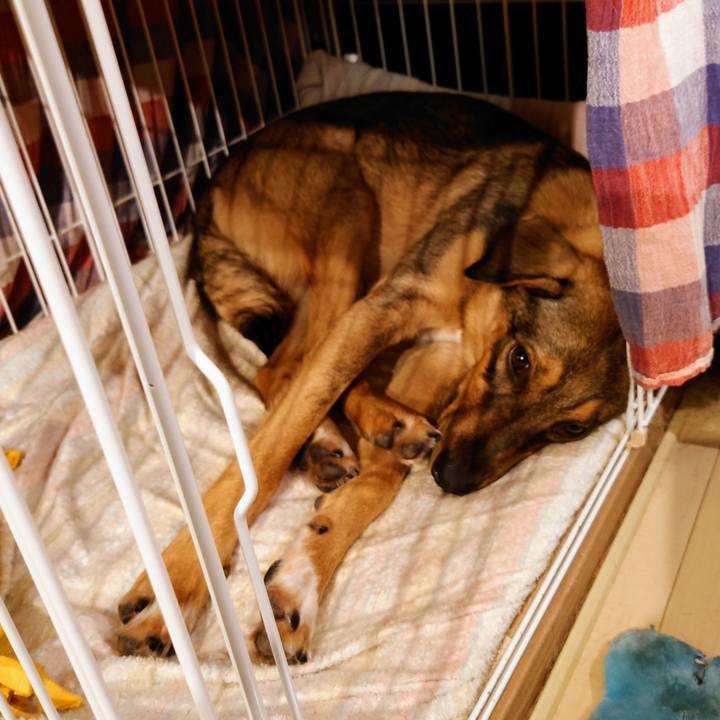 C2047901 2906 4737 b1b0 5e996a0b7f8d 1699353808513