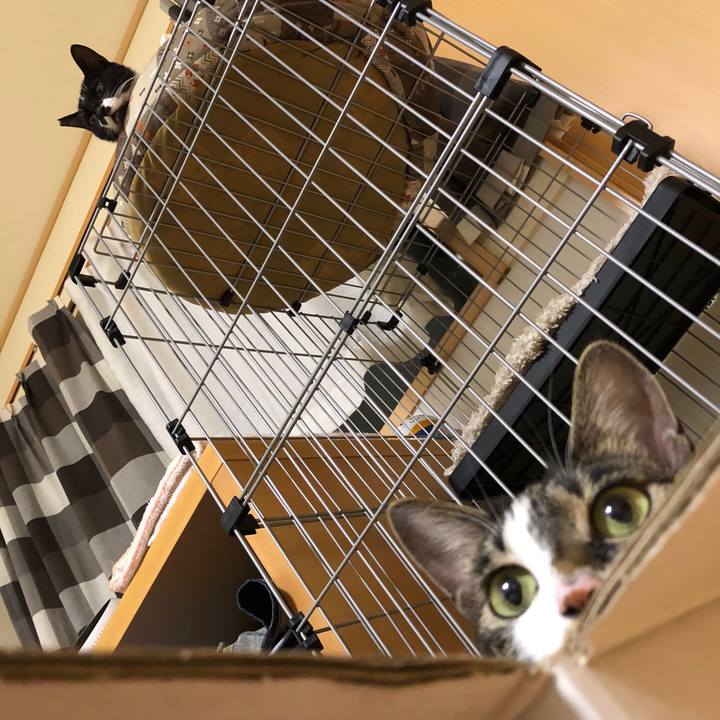 C204866a bd82 4509 ba87 0f31756285b8 1532202761109