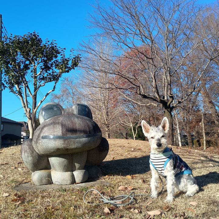 C204c7a4 167c 43c0 b46f a00915e66644 1765889203210