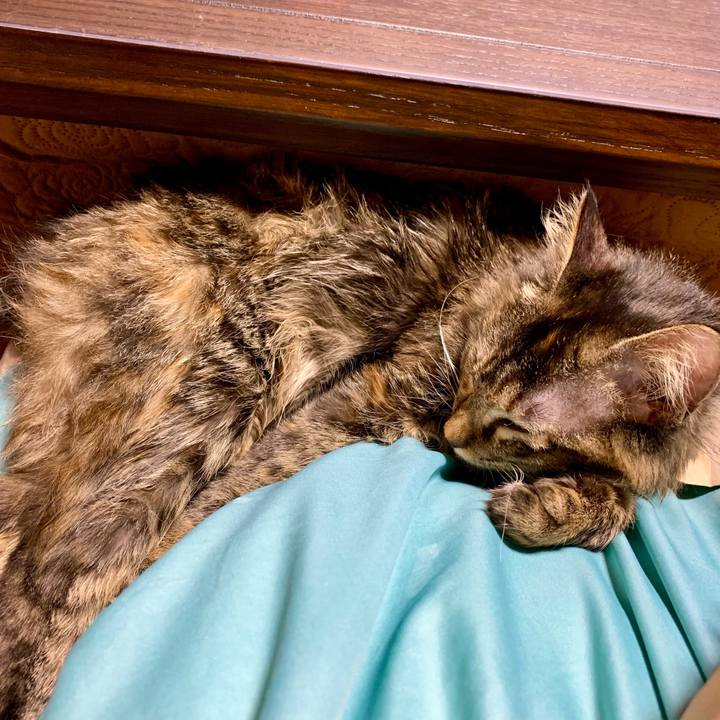 C204d352 6e4f 4776 a0ca 57f87b203cad 1645357734130