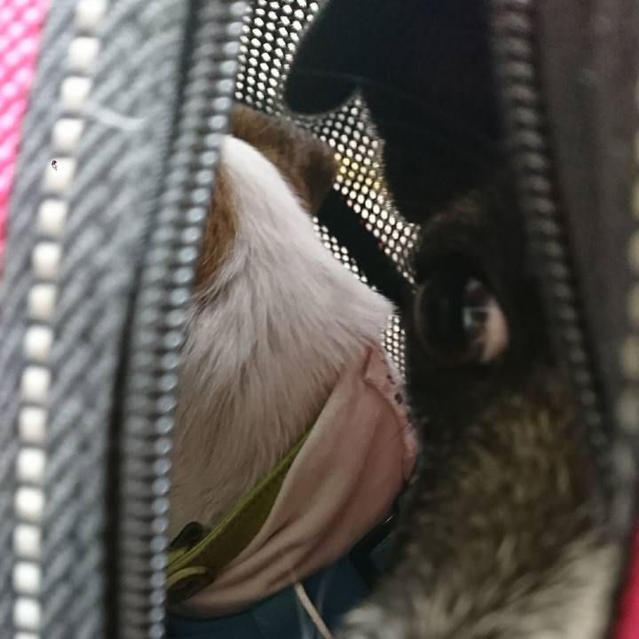 C2050c77 f149 49c4 9686 ae781b6e2122 1604126026321