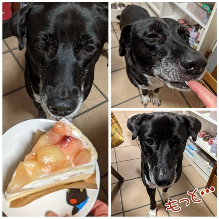 C2051fd8 cbdf 4f47 aacf d837cd0801a1 1693575567944