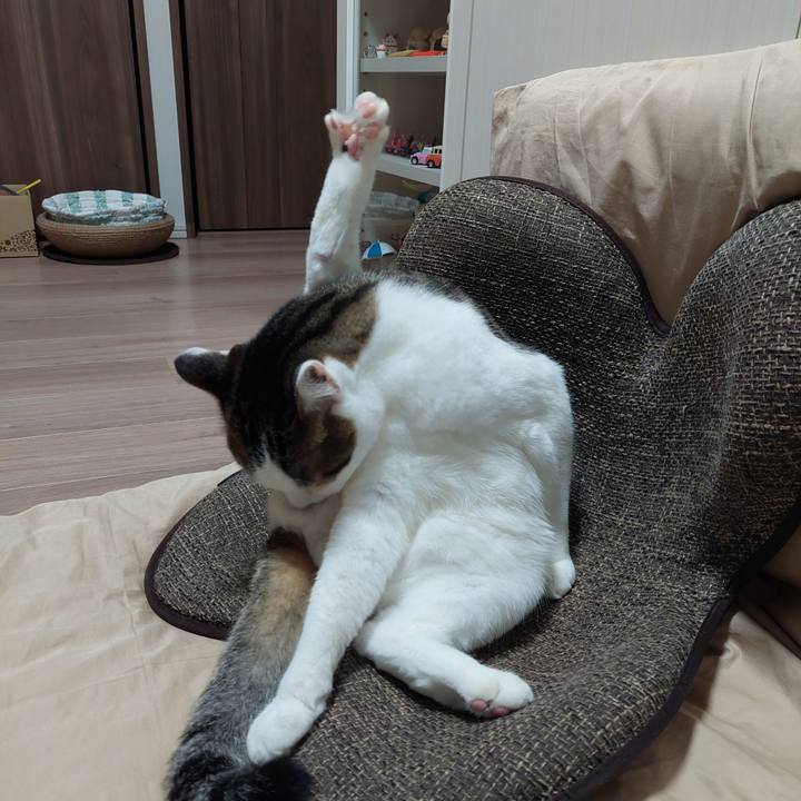 C2053681 7870 4bb3 b9b6 ddd9fd24890e 1626869989060