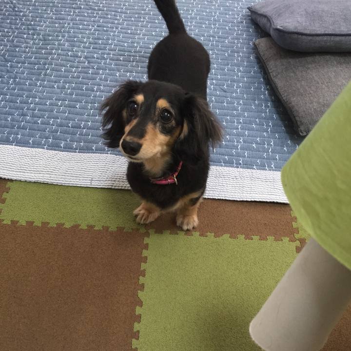 C2055d67 d310 44da a8d7 e65eeed50dae 1534833506746