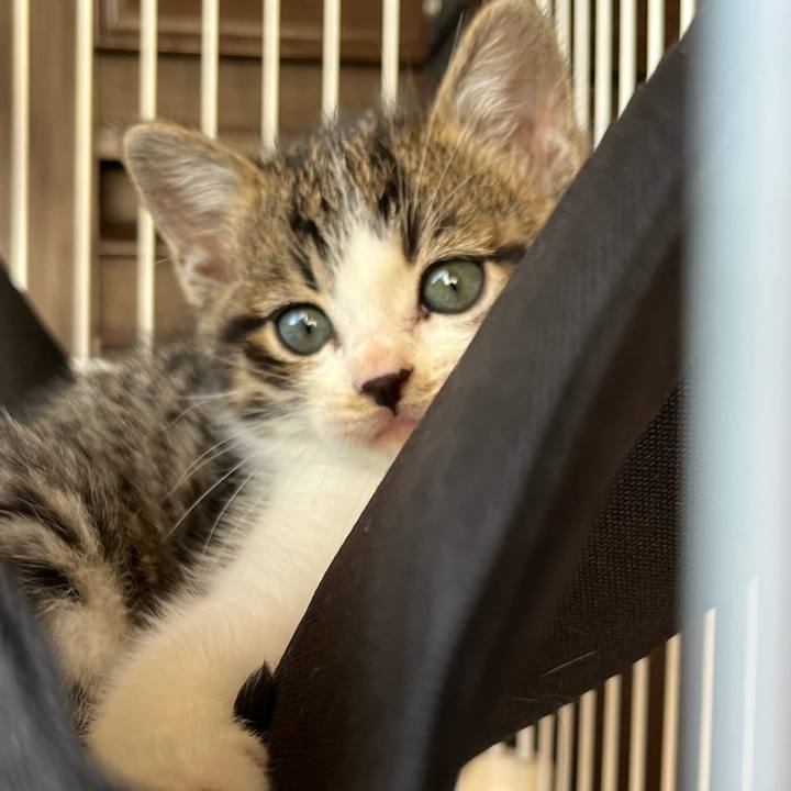 C2057749 41c6 450a aa94 ae0bc1ffcf51 1764574384562