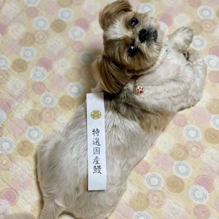 C20593e8 b4f3 4a64 9ec7 1d308296f1a6 1629452620696