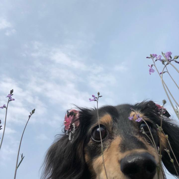 C205add8 fe60 4f48 90ff 654901e70c6a 1555632494399