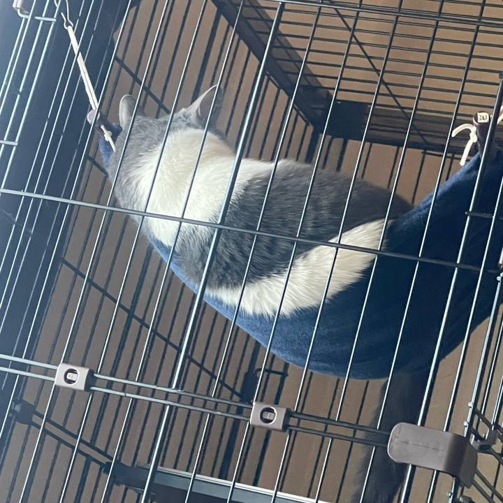 C205c83c 8a0d 4e17 984e 15d060921714 1728799263253