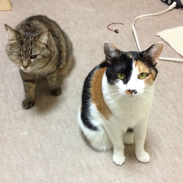 C205ed97 a090 4523 a0a1 62de8ccc603f 1584919116258