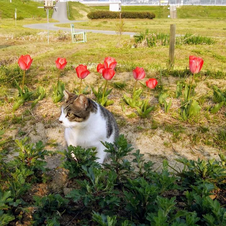 C2060ae7 a19e 4fa3 8bca 631c9da2147a 1554542078230