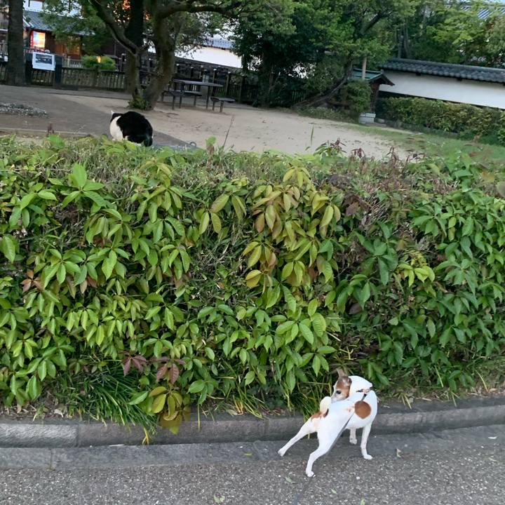 C2061db7 5571 4c8c 94a6 1db2945368cf 1617964882021