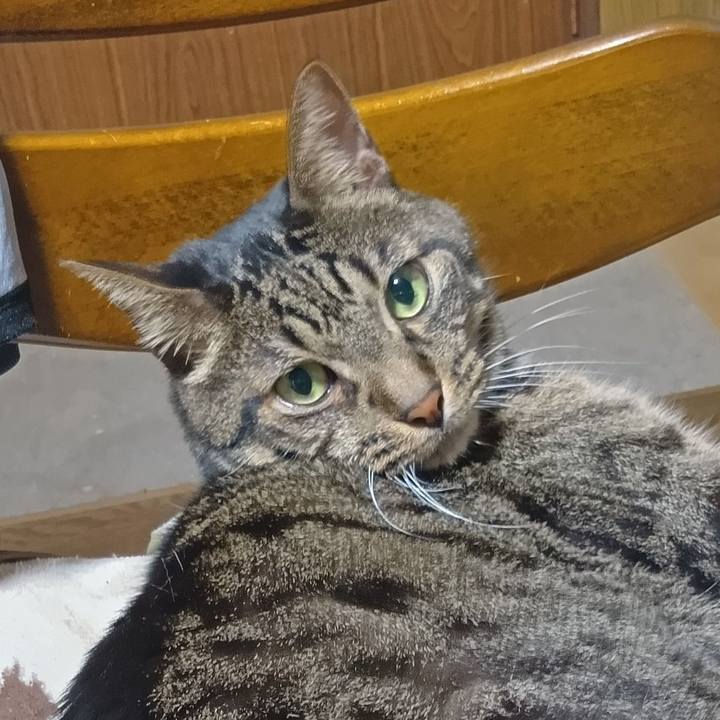 C20634fe 0e19 4807 b0c3 5154811e3b80 1756808096145