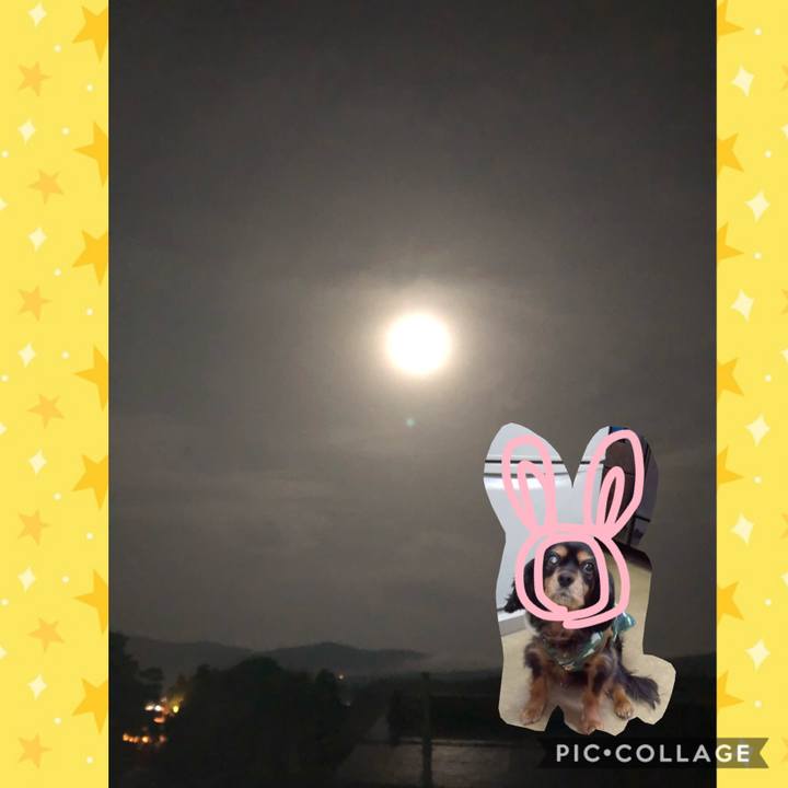 C2064c26 2cff 4032 9d2a 58c424bc6fd9 1591362787070