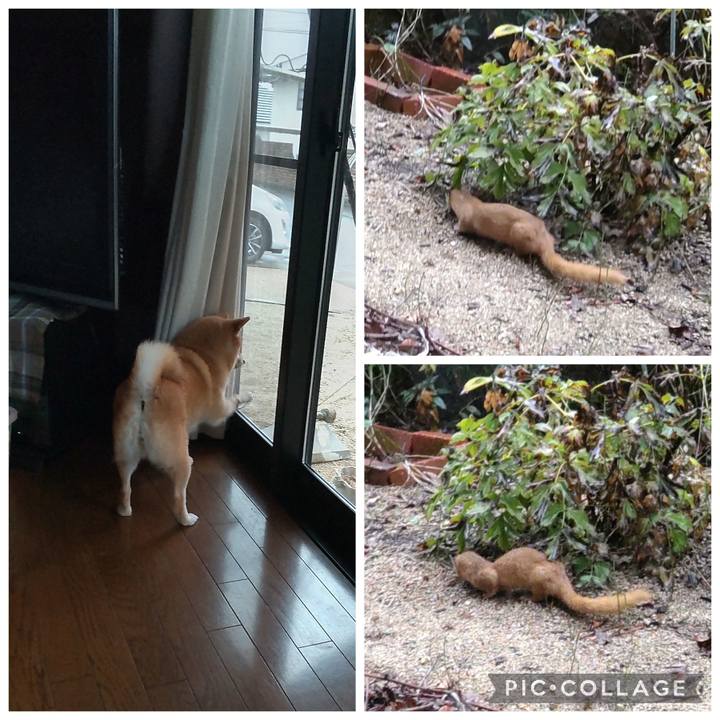 C2066de6 0129 436a 8242 2b8fa0e47c63 1761890114716