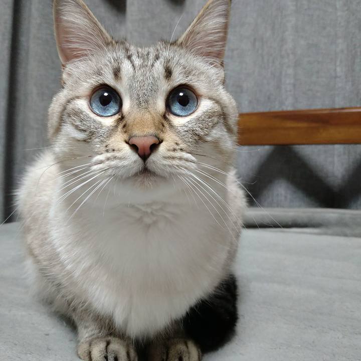 C2067474 bc12 40d2 8dec 0297ad68aeca 1703176834995