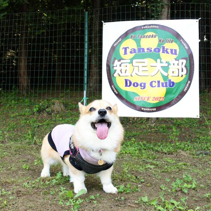 C2069e54 046a 42a2 9486 c95ff21779e0 1690715126965