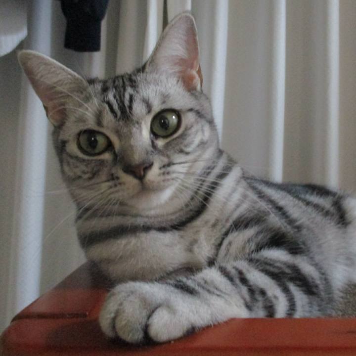 C206a6ff ff70 428f 8faa 98dbc0737e6f 1563964090793