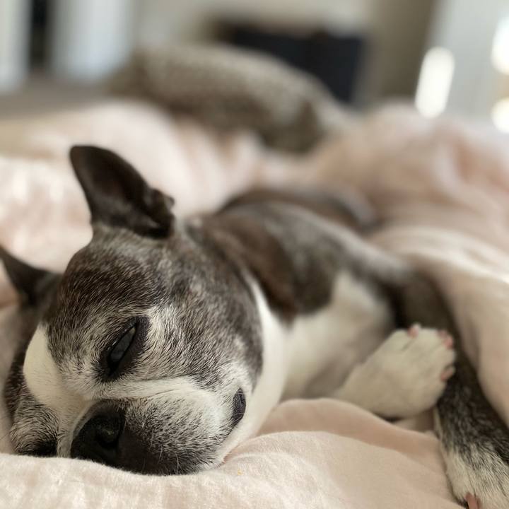 C206d01e 83d0 4fa8 807e dfe08b53390e 1619473316274