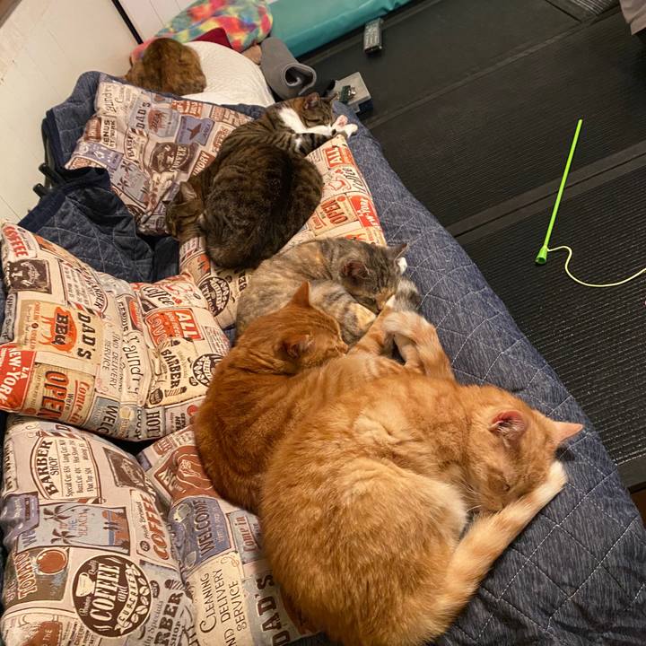 C2071f97 f8b6 43b4 991e 2ee317e8c721 1586045641770