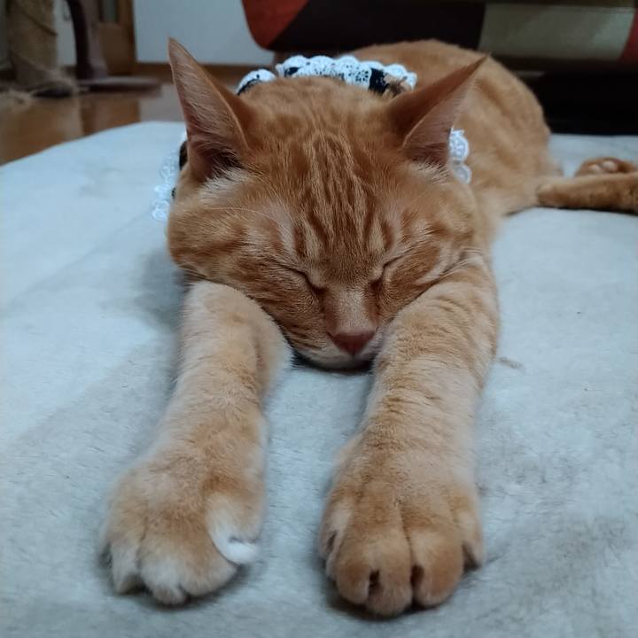 C2074464 c4fd 4b83 b43c b710c526d32c 1587471171689