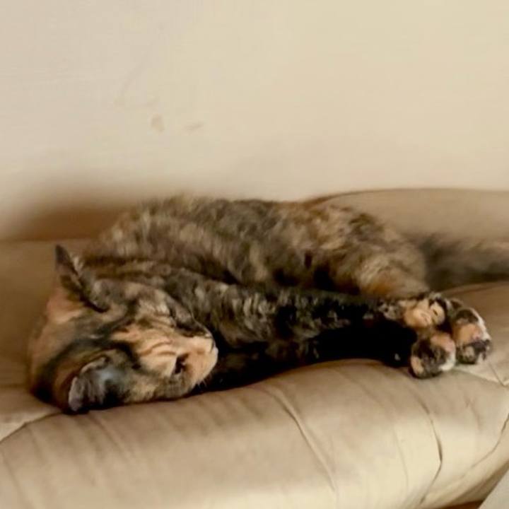 C20748f9 9df3 4e65 8dec 51677253e404 1756195046025